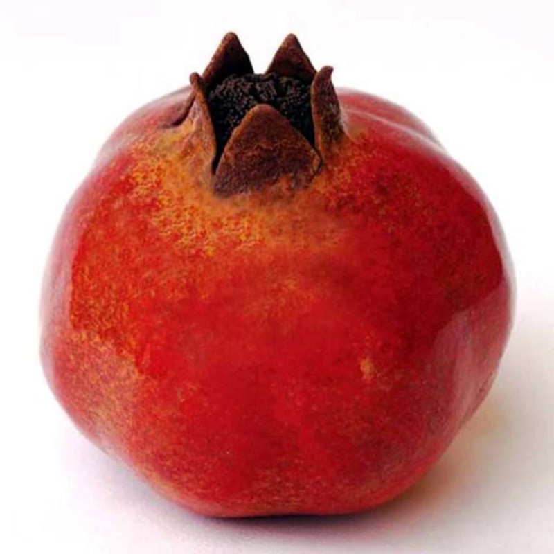 Ρόδι κεραμικό