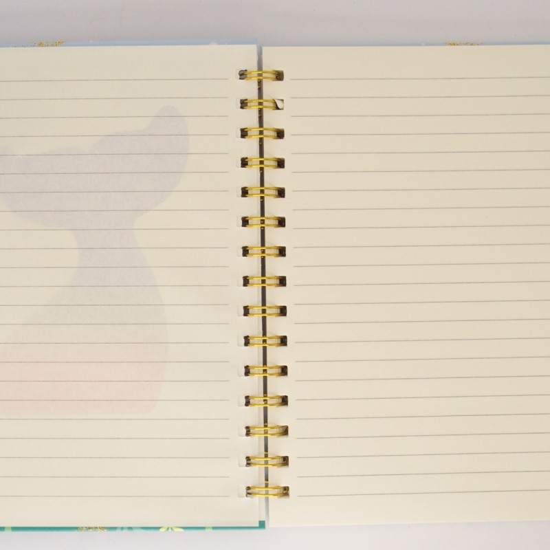 Τετράδιο pop it