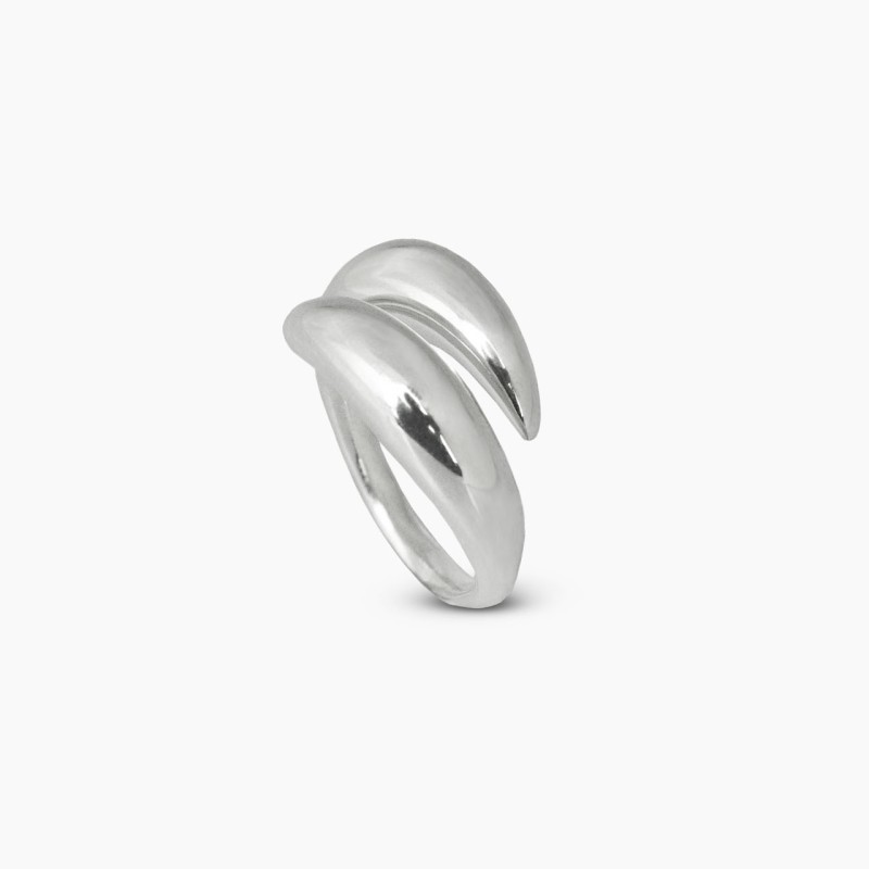 Δαχτυλίδι φασόλι