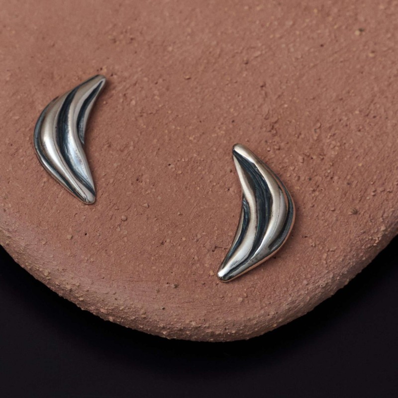 Σκουλαρίκια Zebra