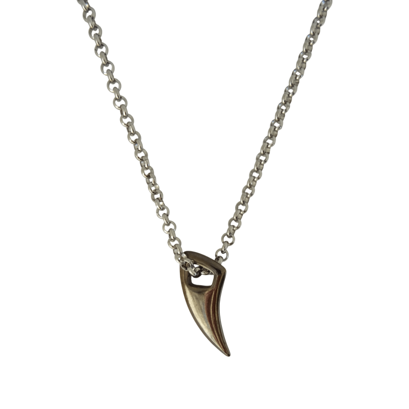 Κολιέ μακρύ με μαύρο δόντι σε αλυσίδα