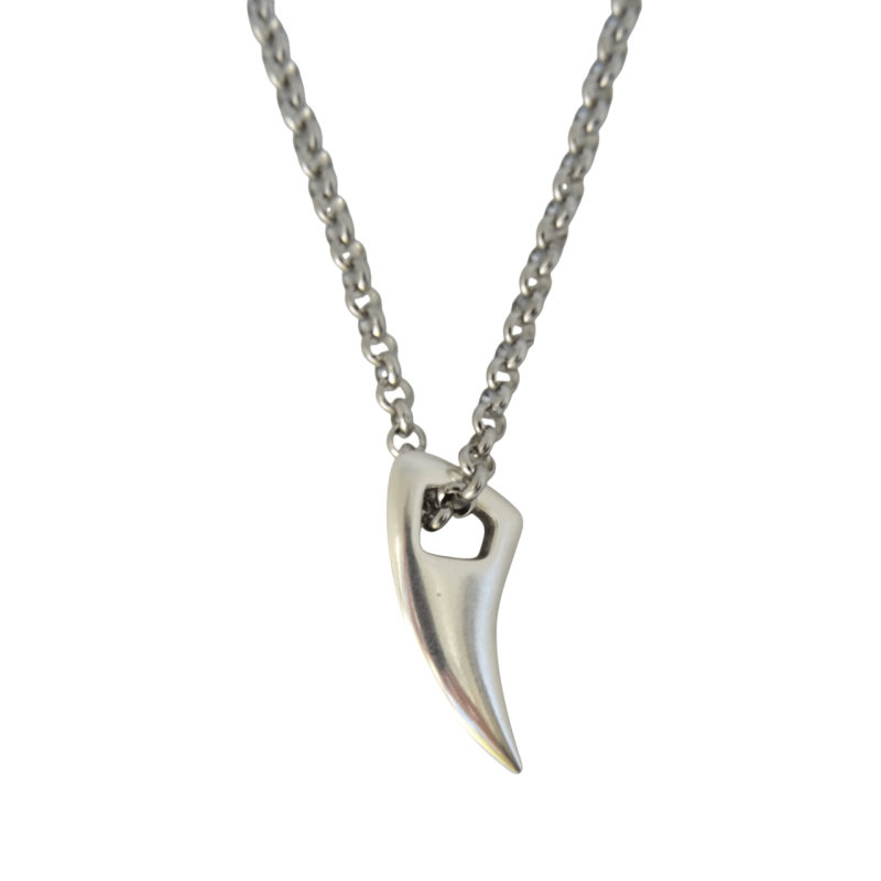 Κολιέ μακρύ με ασημί δόντι σε αλυσίδα