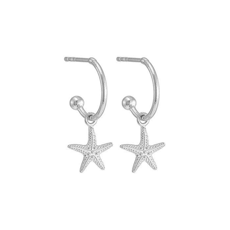 Σκουλαρίκια με αστερία