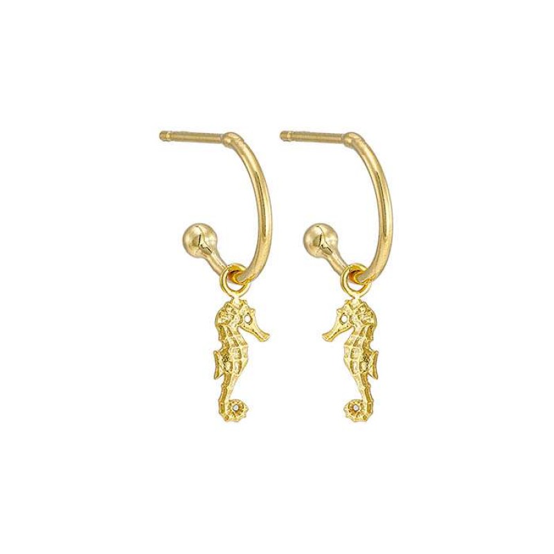 Σκουλαρίκια με ιππόκαμπο